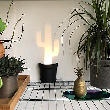 Plastic Cactus Single Lamp Popup Lighting