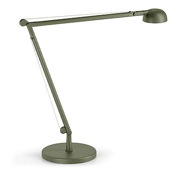 Opuntia оливковая 2200-4000K Panzeri